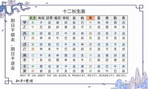 八字長生意思|十二长生表、十二长生的含义与用法详解